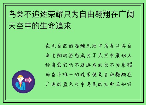 鸟类不追逐荣耀只为自由翱翔在广阔天空中的生命追求